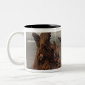 USA, Washington, Olympischer Nationalpark, Rialto  Zweifarbige Tasse (Links)