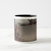 USA, Washington, Olympischer Nationalpark, Rialto Zweifarbige Tasse (Mittel)