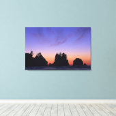 USA, Washington, Olympischer Nationalpark, Shi-shi Leinwanddruck (Insitu (Holzboden))