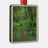 USA, Washington, Olympischer Nationalpark, Silbernes Ornament (Rechts)