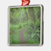 USA, Washington, Olympischer Nationalpark, Silbernes Ornament (Links)