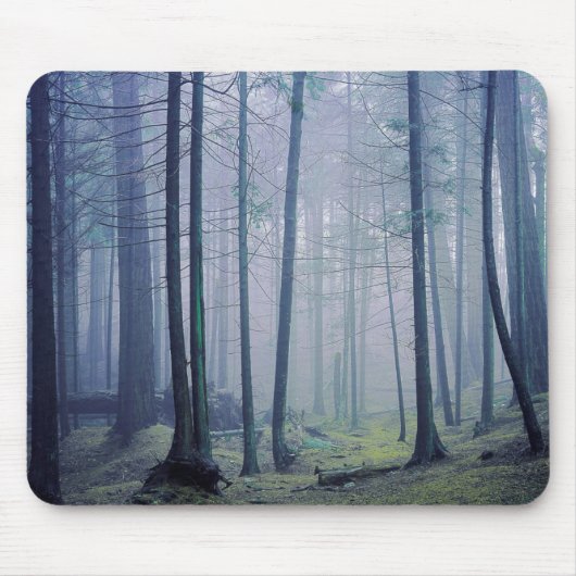 USA, Washington, Orcas Island, Moran Staat Park Mousepad (Vorne)