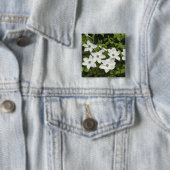 USA, Washington, Pacific Dogwood, Cornus Button (Beispiel)
