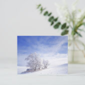 USA, Washington, Palouse Area, Mattiert Black Postkarte (Stehend Vorderseite)