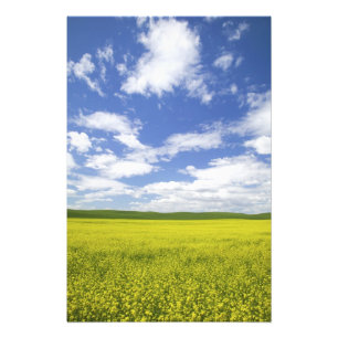 USA, Washington, Palouse Country, Blühend Fotodruck