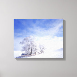 USA, Washington, Palouse-Gebiet, Frosted Black Leinwanddruck
