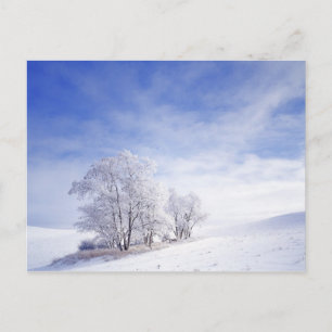 USA, Washington, Palouse-Gebiet, Frostschwarze Postkarte