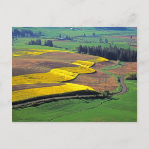 USA, Washington, Palouse, Whitman County 2 Postkarte