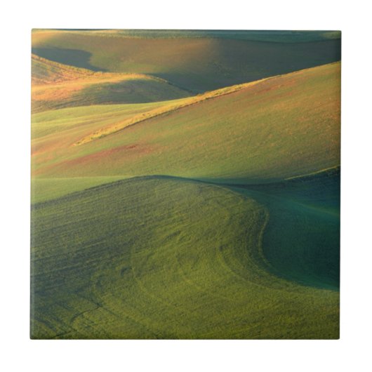 USA, Washington, Palouse, Whitman Landkreis Fliese (Vorderseite)