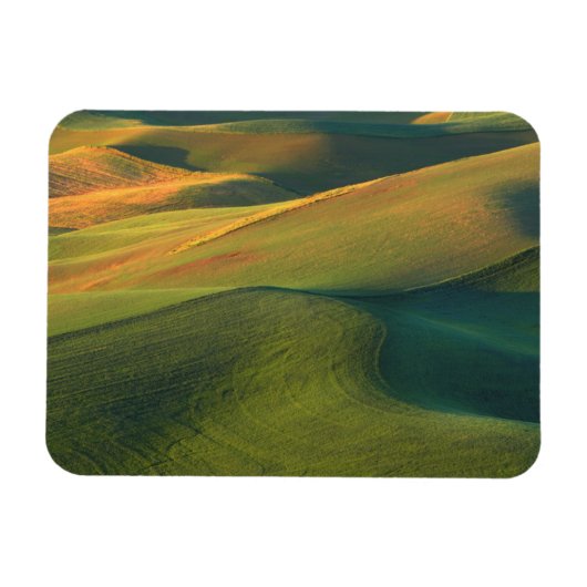 USA, Washington, Palouse, Whitman Landkreis Magnet (Horizontal)