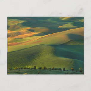 USA, Washington, Palouse, Whitman Landkreis Postkarte
