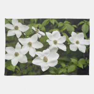 USA, Washington, Pazifische Kornelkirsche, Cornus Geschirrtuch