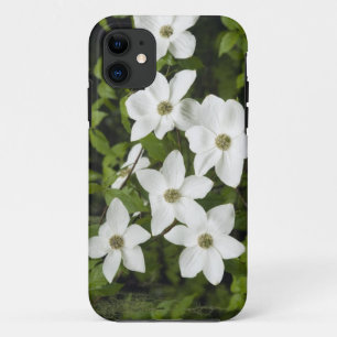 USA, Washington, Pazifischer Hartriegel, Cornus Case-Mate iPhone Hülle