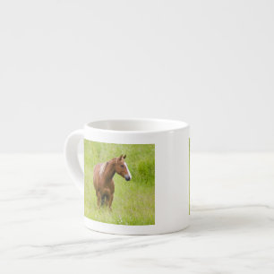USA, Washington, Pferd im Frühjahrsfeld, Espressotasse