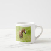 USA, Washington, Pferd in Spring Field, Espressotasse (Rechts)