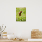 USA, Washington, Pferd in Spring Field, Poster (Küche)