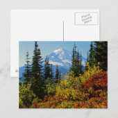 USA, Washington, Rainier National Park 2 Postkarte (Vorne/Hinten)
