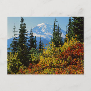 USA, Washington, Rainier National Park 2 Postkarte