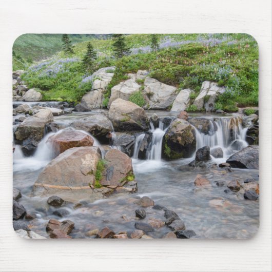 USA, Washington, Rainier National Park 3 Mousepad (Vorne)