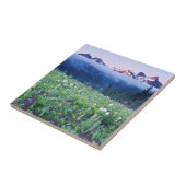 USA, Washington, Rainier National Park 4 Fliese (Seite)