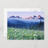 USA, Washington, Rainier National Park 4 Postkarte (Vorne/Hinten)