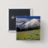 USA, Washington, Rainier National Park. Button (Vorne & Hinten)