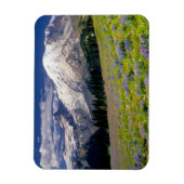 USA, Washington, Rainier National Park. Magnet (Vertikal)