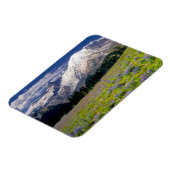 USA, Washington, Rainier National Park. Magnet (Linke Seite)