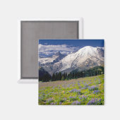 USA, Washington, Rainier National Park. Magnet (Vorderseite/Rückseite)