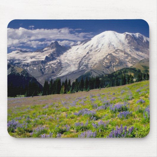 USA, Washington, Rainier National Park. Mousepad (Vorne)