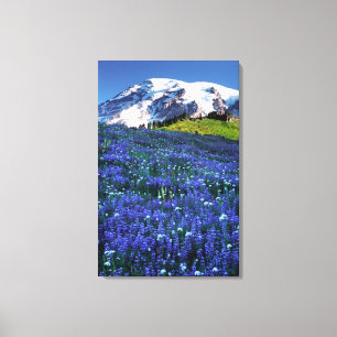 USA, Washington, Rainier National Park. Mt. Leinwanddruck