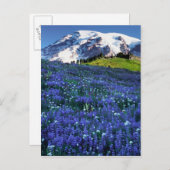 USA, Washington, Rainier National Park. Mt. Postkarte (Vorne/Hinten)