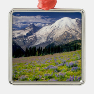 USA, Washington, Rainier National Park. Ornament Aus Metall