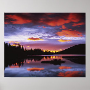 USA, Washington, Rainier National Park, Poster