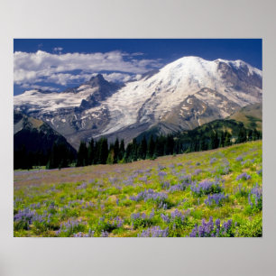 USA, Washington, Rainier National Park. Poster