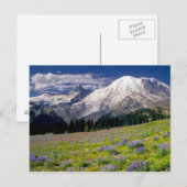 USA, Washington, Rainier National Park. Postkarte (Vorne/Hinten)