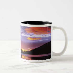 USA, Washington, Rainier National Park, Zweifarbige Tasse