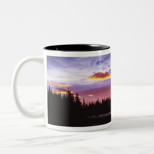 USA, Washington, Rainier National Park, Zweifarbige Tasse (Links)