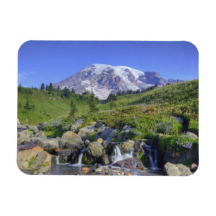 USA, Washington, Rainier NP, Rainier und 2 Magnet