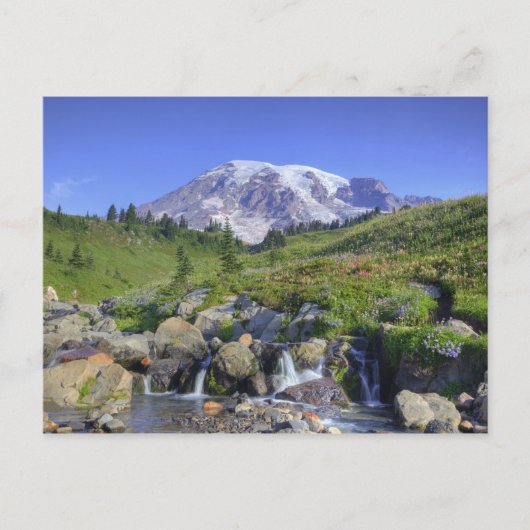 USA, Washington, Rainier NP, Rainier und 2 Postkarte (Vorderseite)
