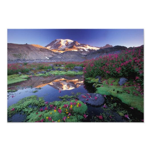 USA, Washington, Rainier NP, Sonnenaufgang, Fotodruck (Vorne)