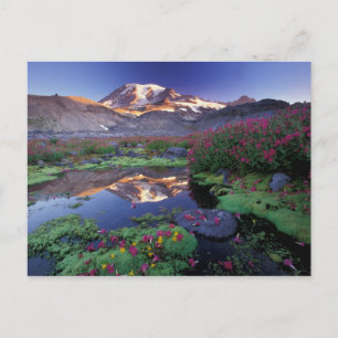 USA, Washington, Rainier NP, Sonnenaufgang, Postkarte