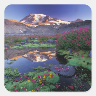 USA, Washington, Rainier NP, Sunrise, Quadratischer Aufkleber