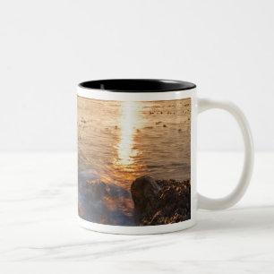 USA, Washington, San Juan Islands.  Dramatisch Zweifarbige Tasse