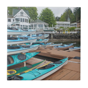 USA, Washington, San Juan Islands Fliese