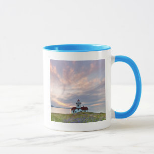 USA, Washington, San Juan Islands.Sonnenuntergang Tasse