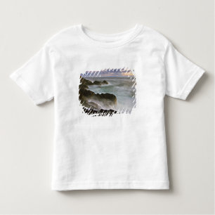 USA, Washington, San Juan Islands.  Sturz Kleinkind T-shirt