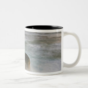 USA, Washington, San Juan Islands. Wellen brechen Zweifarbige Tasse