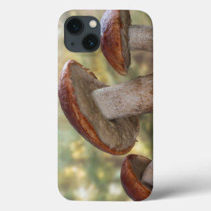 USA, Washington, Seabeck. Leccinum Insigne Case-Mate iPhone Hülle