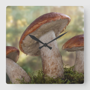 USA, Washington, Seabeck. Leccinum Insigne Quadratische Wanduhr